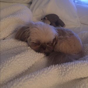 Meet your Posher, Linda